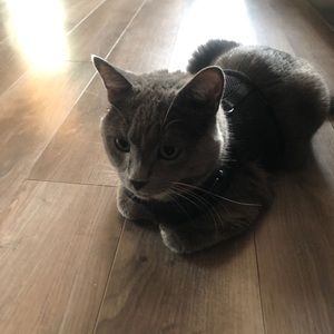 Meet your Posher, Euna